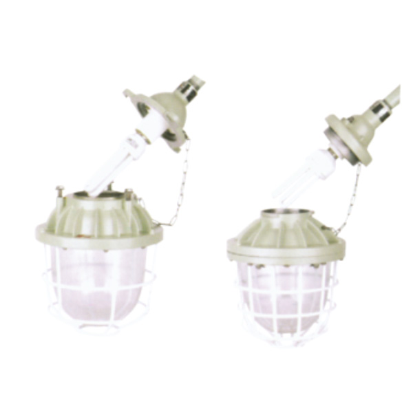 DCG-J45/65系列防爆燈(節能)(ⅡB、ⅡC)