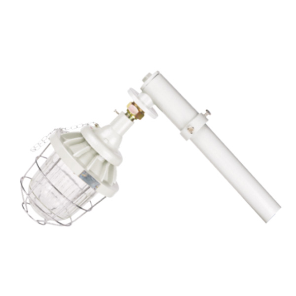 DCM 系列防爆馬路燈(ⅡB、ⅡC、e)